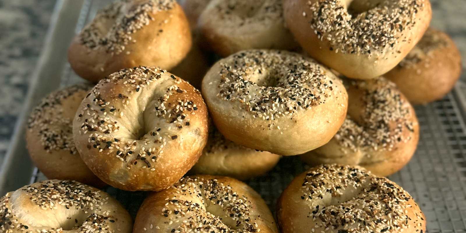 Fresh baked everything bagels